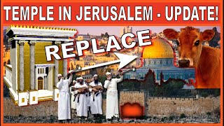 WHY IS THE RED HEIFER IMPORTANT FOR THE 3RD TEMPLE [upl. by Heisel]