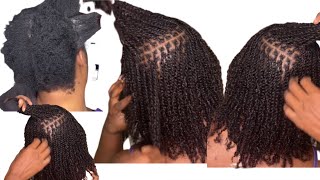 How to micro twist 4C Hair Using Afro bulk human hair microtwists twist minitwist [upl. by Hemphill]