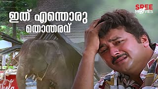 ഇത് എന്തൊരു തൊന്തരവ്  Pattabhishekam  Jagathy  Jayaram  Indrans  Comedy Scene [upl. by Malvin]