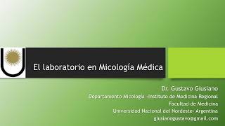 El laboratorio en Micología Médica Micosis sistémicas endémicas Paracoccidioidomicosis [upl. by Rexferd]