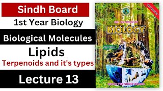 terpenoids  lipids  biological molecules class 11 biology Sindh board new book [upl. by Fleta343]