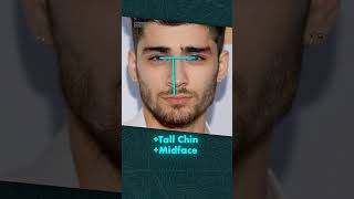 How Attractive Is Zayn Malik Faciallyzayn zaynmalik [upl. by Murrah]