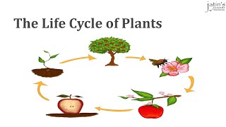 The Life Cycle of Plants  Grade 5 Science [upl. by Nauqed]