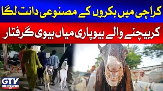 Karachi Couple Arrested For Selling Goats With Fake Teeth  Eid ul Adha 2024  Breaking News [upl. by Eserehc]