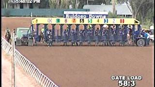 Handsome Jack Flash Wins 2013 All American Futurity G1 [upl. by Khichabia]