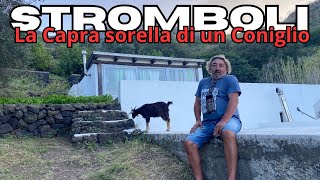 Andrea la Capra e il Coniglio  Sotto il Vulcano di Stromboli [upl. by Matelda]