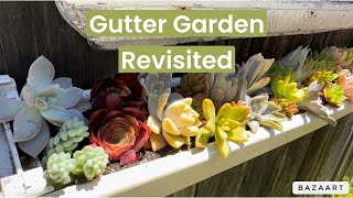 Rain Gutter Succulent Planter It’s Time [upl. by Costanza]