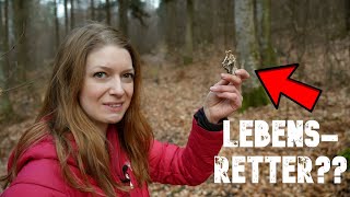 🍄Lebensretter☠️​Ist das DER heilkräftigste Pilz für Survival und lebensbedrohliche Krankheiten😷​ [upl. by Enniroc673]