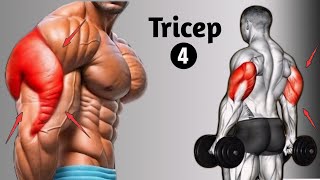 4 Magic Exercises to Big Triceps Workout At Gym  Tricep workout [upl. by Kinata]