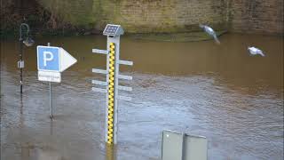 Hochwasser 2023 Porta Westfalica und Minden Seelenflug [upl. by Codd]