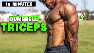 10 MINUTE LIGHTWEIGHT DUMBBELL TRICEP WORKOUT [upl. by Newbold]