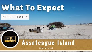 Assateague Island  Beach and Camping  Full Review  Berlin Maryland [upl. by Renelle662]