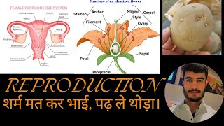 Reproduction in Plants JKSSB JKpolice SSC  CDS AFCAT [upl. by Aicirt]