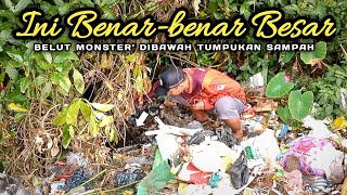 INI BARU BESAR  BELUT MONSTER PENGHUNI BAWAH TUMPUKAN SAMPAH [upl. by Bogie]