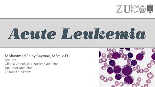 Acute Leukemia v2 [upl. by Ojela]