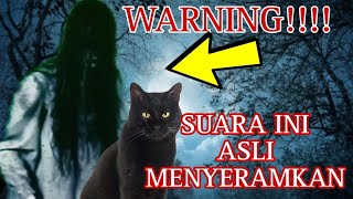 BIKIN TAKUT  Suara Hantu Kuntilanak Dan Kucing Marah [upl. by Alcinia]