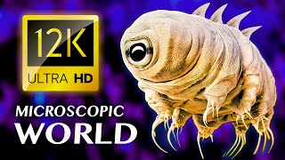 MICROSCOPIC WORLD 12K ULTRA HD [upl. by Anolla]