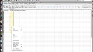 Creating a simple data sheet in excelmov [upl. by Ciardap]