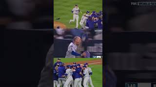 WorldSeries champs from every angle [upl. by Curkell]