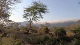 Ngorongoro crater tanzania [upl. by Copeland]