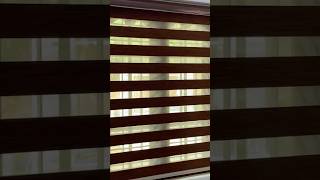 Zebra window blinds mlpm [upl. by Acinomed339]