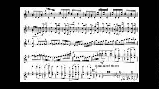 Tsjaikovski PI mvt3 violin concerto [upl. by Stokes]