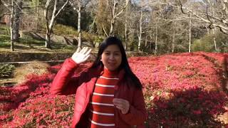 EVERGLADES HISTORIC HOUSE amp GARDENS in Leura NSW Australia  Travel Vlog [upl. by Erreit]