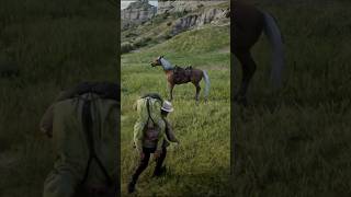 Horse Accident Turns into Standoff 🤠🐴 RDR2 StandOff WildWest reddeadredemtion2 [upl. by Lenahtan638]