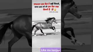 motivational motivation horse success 2ndgrade rmssb youtubeshorts [upl. by Brozak]