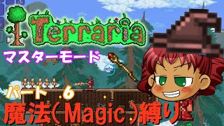 Terraria 魔法（Magic）縛り パート６ ゆっくり実況 [upl. by Dhiman]