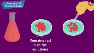 Chemical Properties of Acids and Bases  Part 11  English  Class 10 [upl. by Nnaesor]