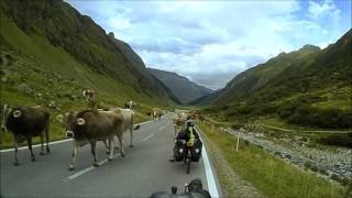 Downhill from Silvretta Hochalpenstrasse on two Nazca Gaucho recumbent [upl. by Senaj]