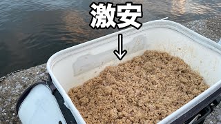 安くて釣れる撒き餌で【波止グレフカセ釣り】 [upl. by Camilo]