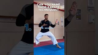 What are these Karate Techniques karate martialarts shotokan shorts [upl. by Weider]