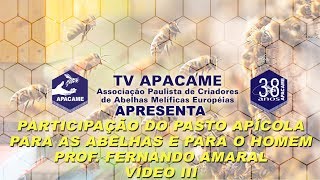 Palestra Prof Fernando Amaral Video III [upl. by Ojillek]