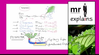 mr i explains Factors that affect the rate of Transpiration [upl. by Nayt]