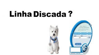 Acessar Internet Discada nos Dias Atuais  Vamos Conectar em 56k [upl. by Juta]