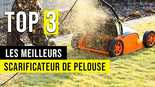 🥇 Le Meilleur Scarificateur de Pelouse  Comparatif  TOP 3 [upl. by Venuti]