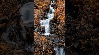 Multnomah Falls [upl. by Jereld270]