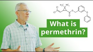 Permethrin lotion  Permethrin lotion how to use  Permicer  Permethrin [upl. by Davenport321]