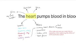 AQA GCSE  B414 Human circulatory system OVERVIEW [upl. by Aimehs]