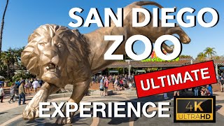 Ultimate San Diego Zoo Experience 2022 4K Full Tour Tips Special Experiences wMusic amp Narration [upl. by Naida]