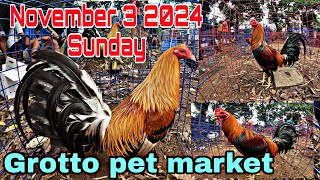 November 3 2024 Sunday  Grotto pet market [upl. by Lilas]