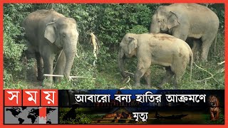 ঘাস কাটতে গিয়ে প্রাণ গেল যুবকের   Sherpur  Nalitabari  Elephant  Somoy TV [upl. by Eido666]