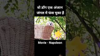 Vah dog ek Anjan jungle mein fas gaya haishort movie trending [upl. by Eelyr297]