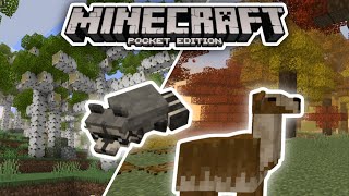 MCPE  yBiomes Craft Addon EXPLORATION [upl. by Hirz]