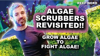 Algae Turf Scrubbers Revisited  Grow Algae to Fight Algae [upl. by Zelikow]