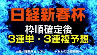 日経新春杯2023 枠順確定後 3連単・3連複予想 [upl. by Nevag]