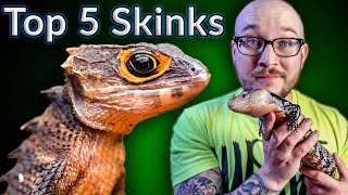 Top 5 BEST Pet Skinks  Potato Parade [upl. by Alley]