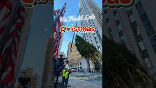 Rockefeller Tree arrives in Rockefeller plaza 2024 [upl. by Oaks]